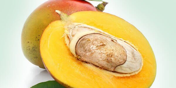 Как выращивать манго в домашних условиях из косточки?