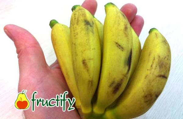 banankaloriyn (2)