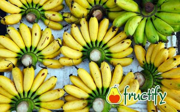 Bananalon (3)