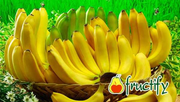 Bananalon (5)