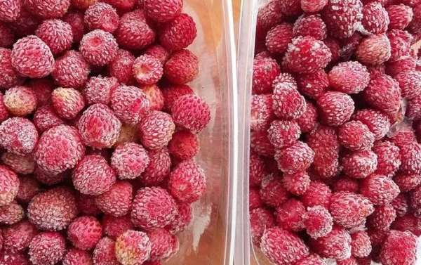 Заморозка ягод и фруктов на зиму в домашних условиях
