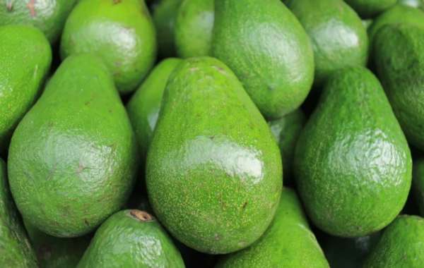 зеленый авокадо