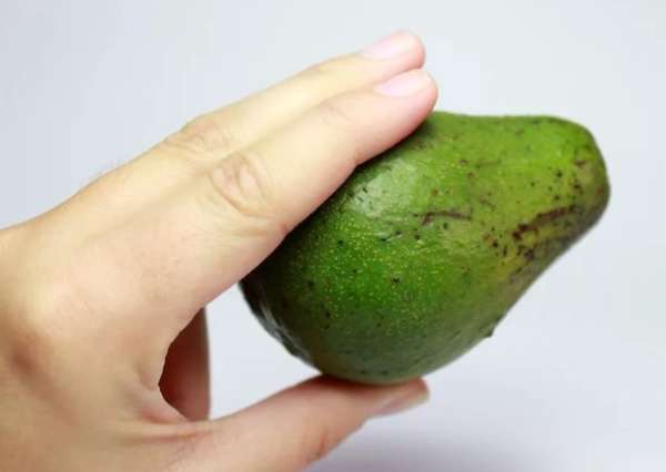 мягкий авокадо