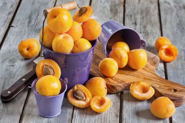 плоды абрикосов