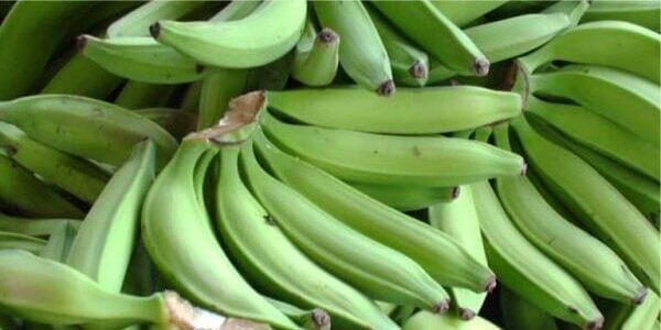 бананы Платано