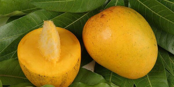 Как кушать манго в домашних условиях фото пошагово