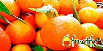 mandarine (14)