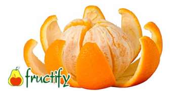 pochistit_apelsin (12)